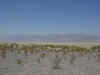 Death Valley 2.jpg (49124 bytes)