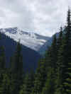 Glacier NP Canada.jpg (51296 bytes)