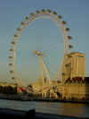 London Eye.jpg (59445 bytes)