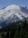 Mt Rainier NE View.jpg (58679 bytes)