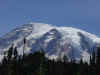 Mt Rainier.jpg (51200 bytes)