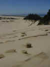 Neat Sand formations.jpg (28219 bytes)