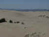 Oregon Sand Dunes2.jpg (22531 bytes)