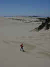 Oregon Sand Dunes3.jpg (23662 bytes)