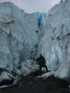 Worthington Glacier.jpg (50862 bytes)