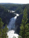 Yellowstone Upper Falls.jpg (68304 bytes)